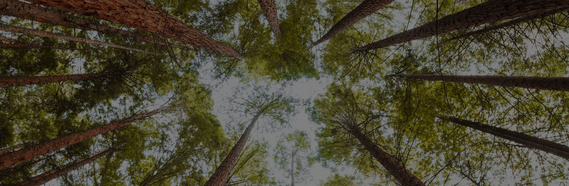 Alamo-Delta-Slide1